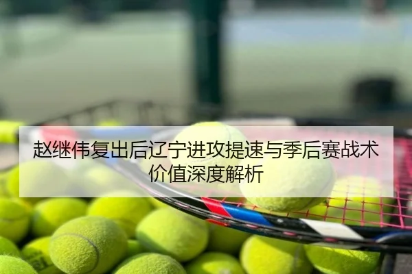 赵继伟复出后辽宁进攻提速与季后赛战术价值深度解析